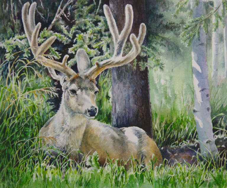 Watercolor painting of a buck resting in the shade