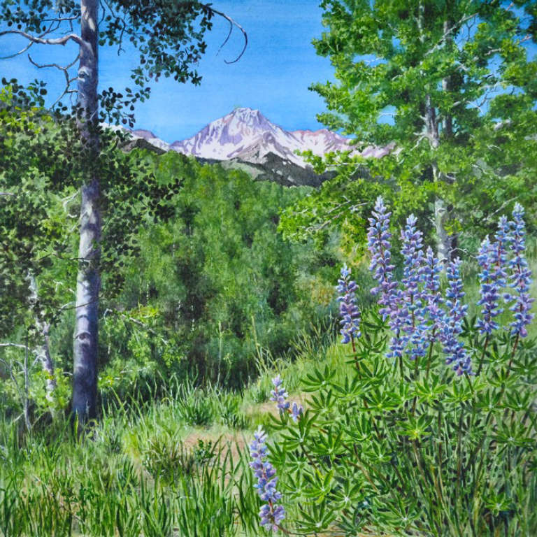 Watercolor painting of Mount Daly near Snowmass, CO with Lupine