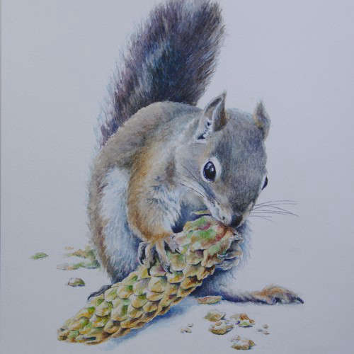 watercolor painting of pine squirrel nibbling a pine cone
