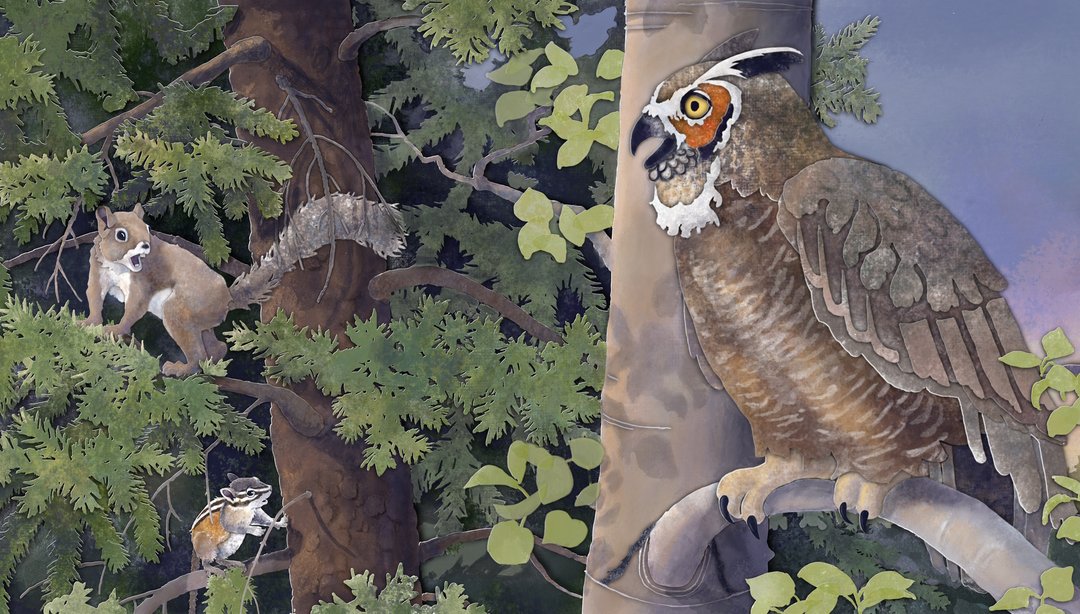 mixed media illustration of a squirrel and a chipmunk in a tree chattering at an owl