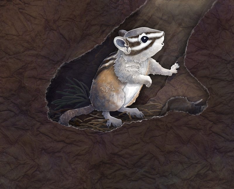 mixed media illustration of a worried chipmunk in a burrow 