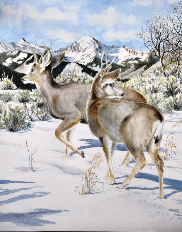 Watercolor painting of two deer running through snow in front of Mt Daly, Snowmass Village, CO