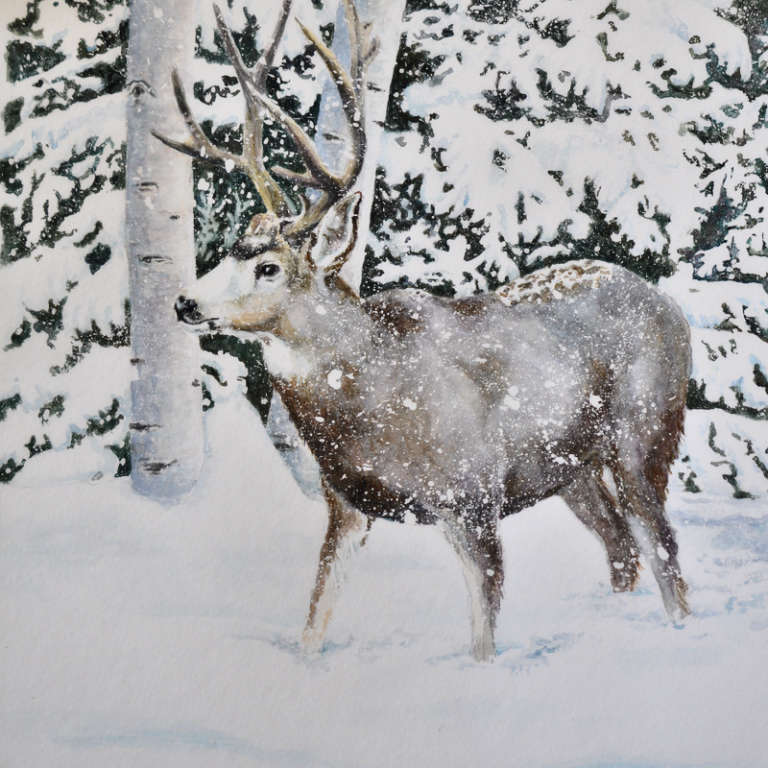 Buck deer wandering through snowy landscape